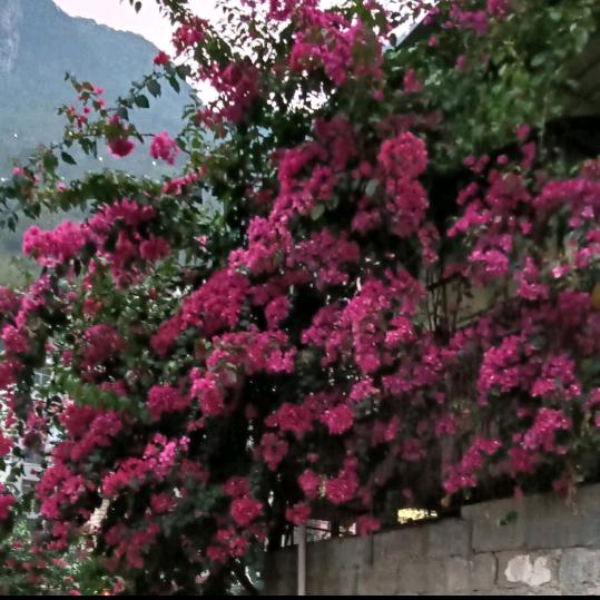 追求梦想