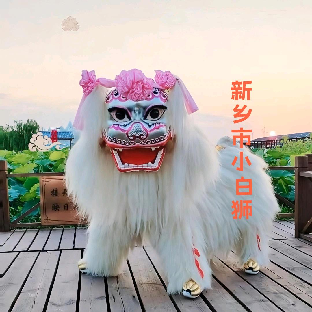 新乡市小白狮演出团