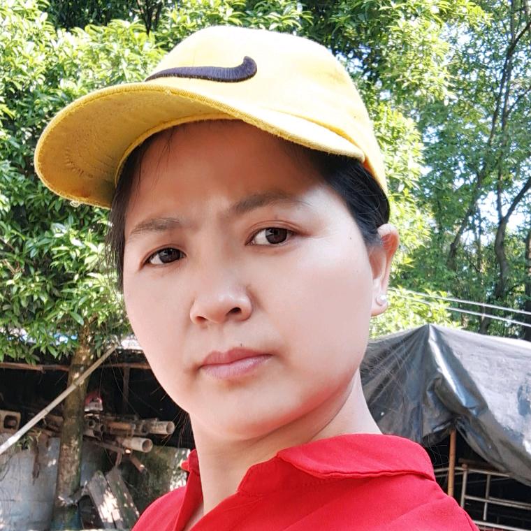 晓陈红