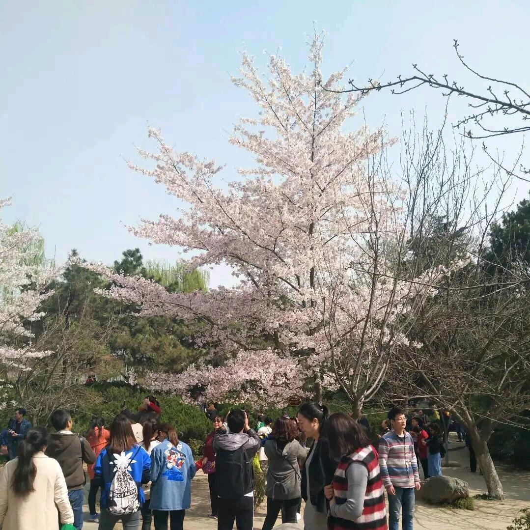 潇洒公子