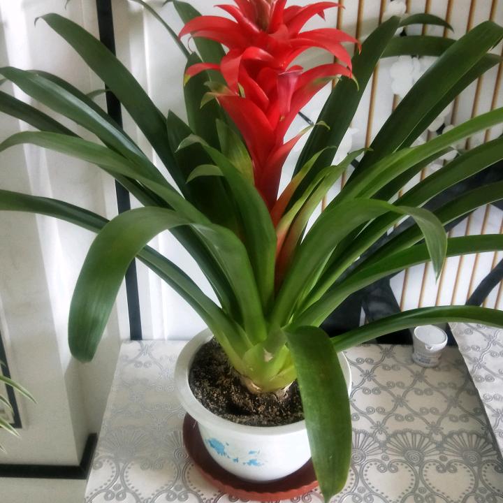 用户1013528403652好久不见v