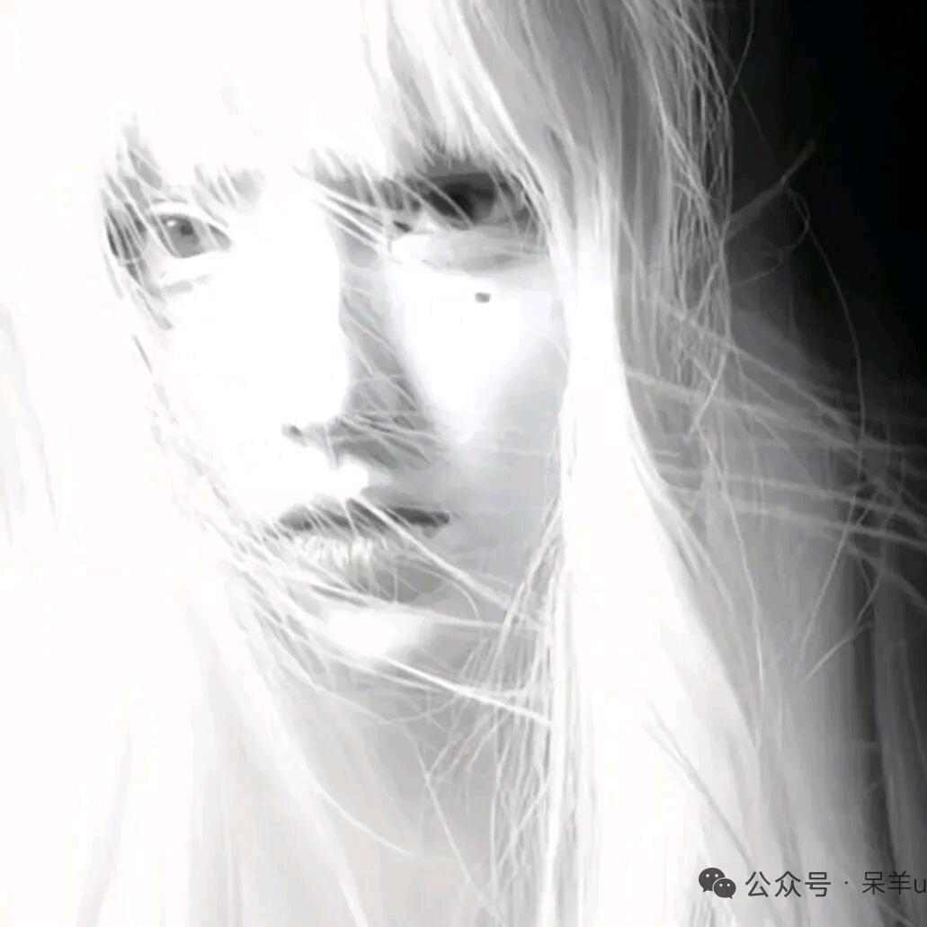 ୧₍˄·͈༝·͈˄₎୨