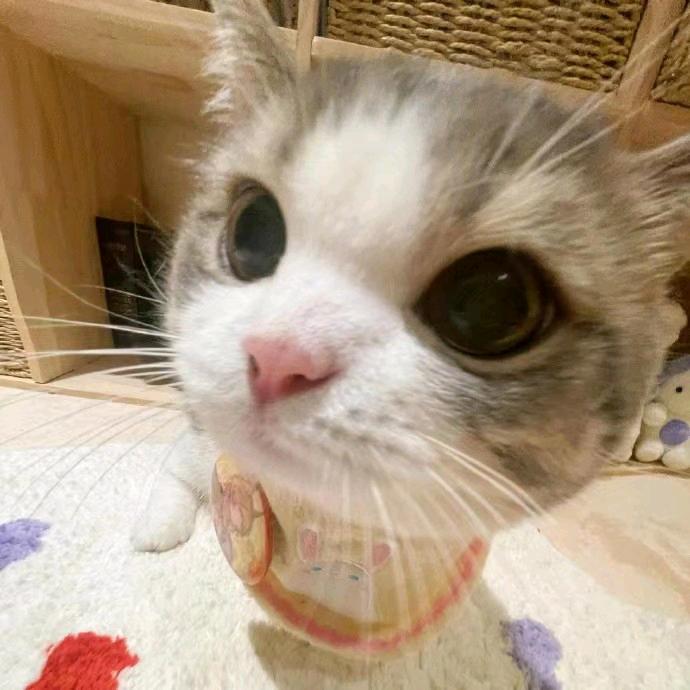 临温