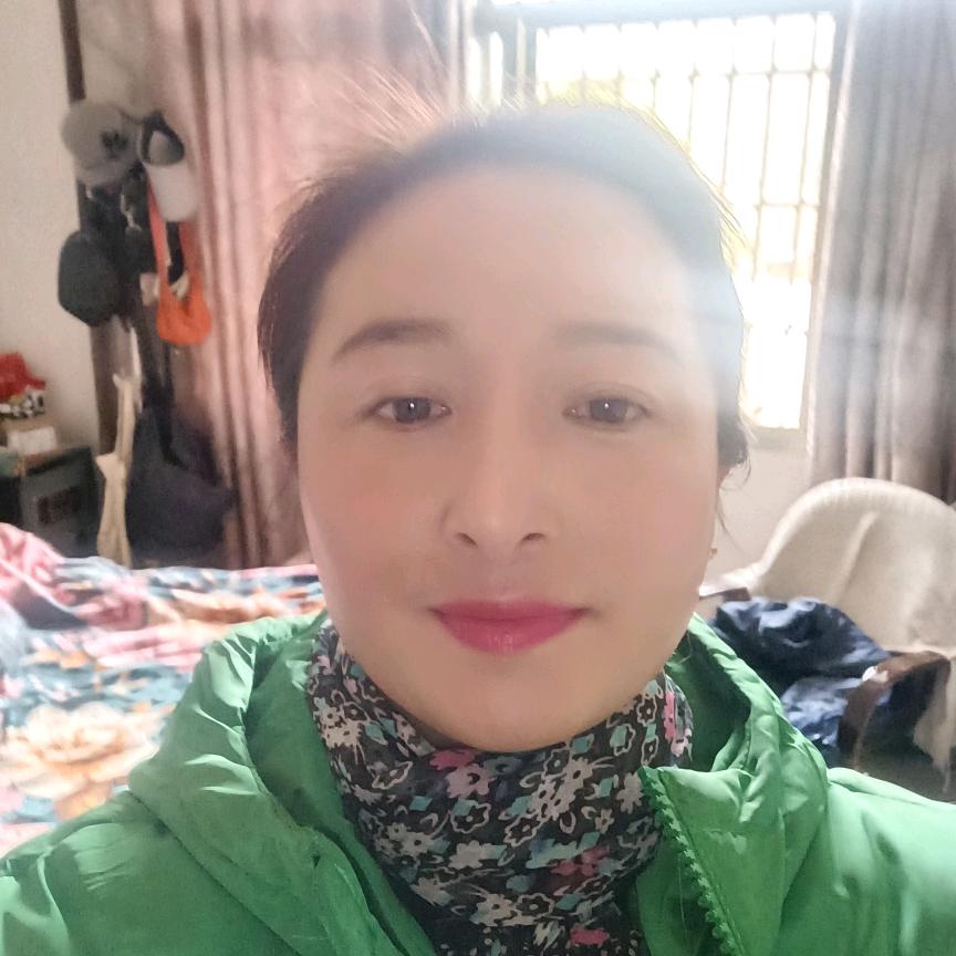 风来叶舞