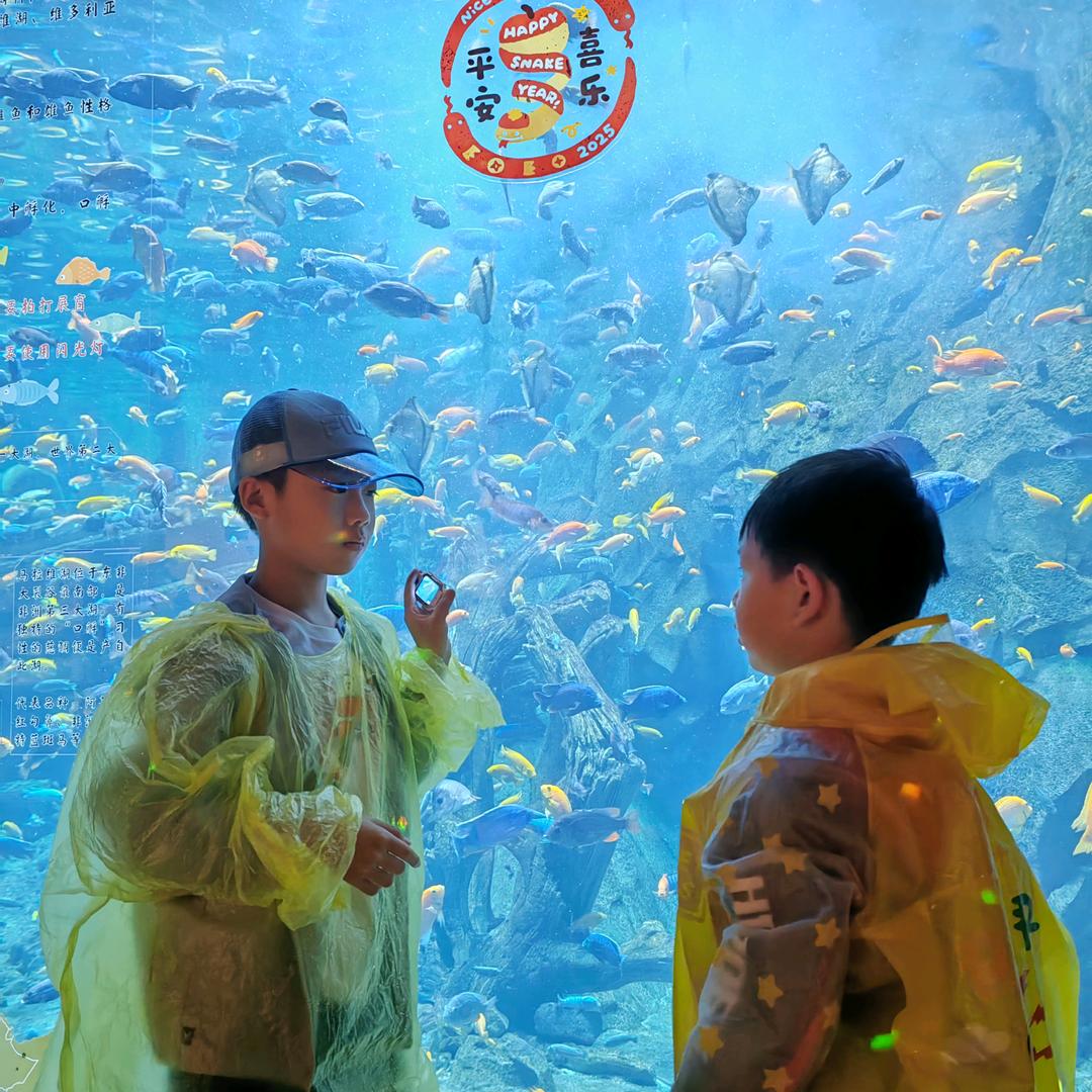 福宝来了