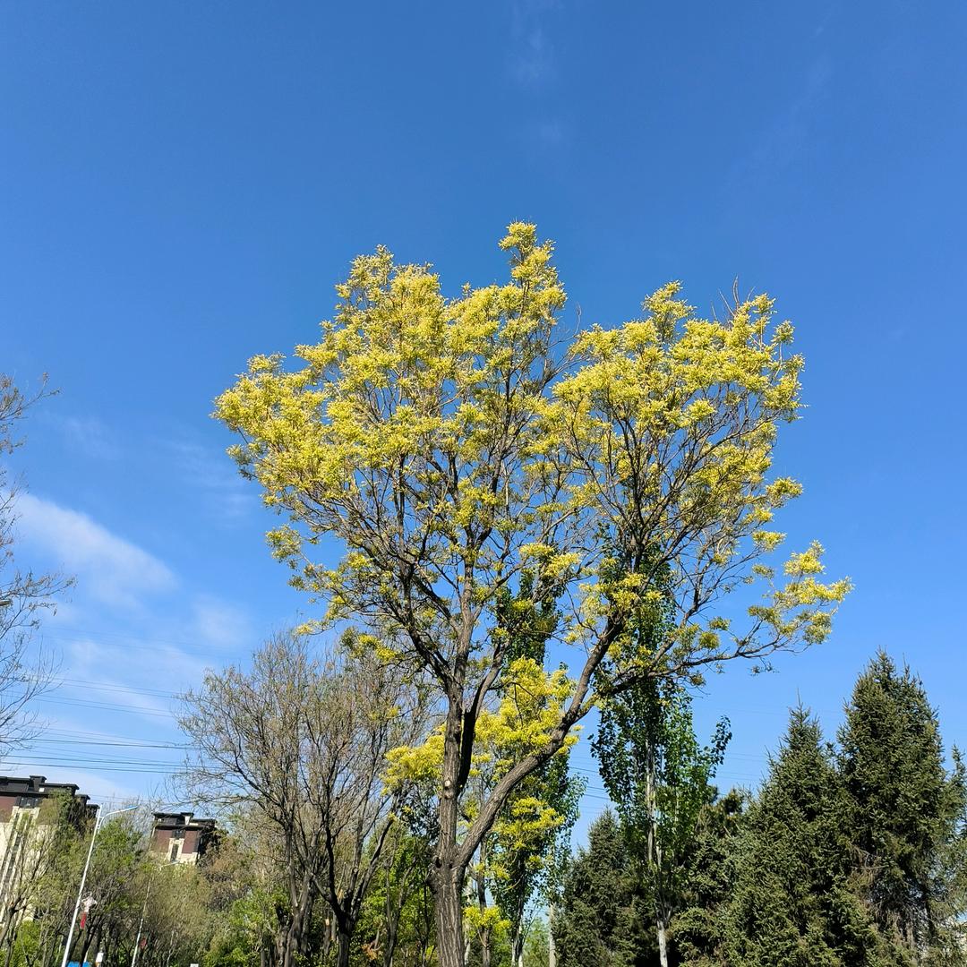 遵化新丝路服饰李哥丫
