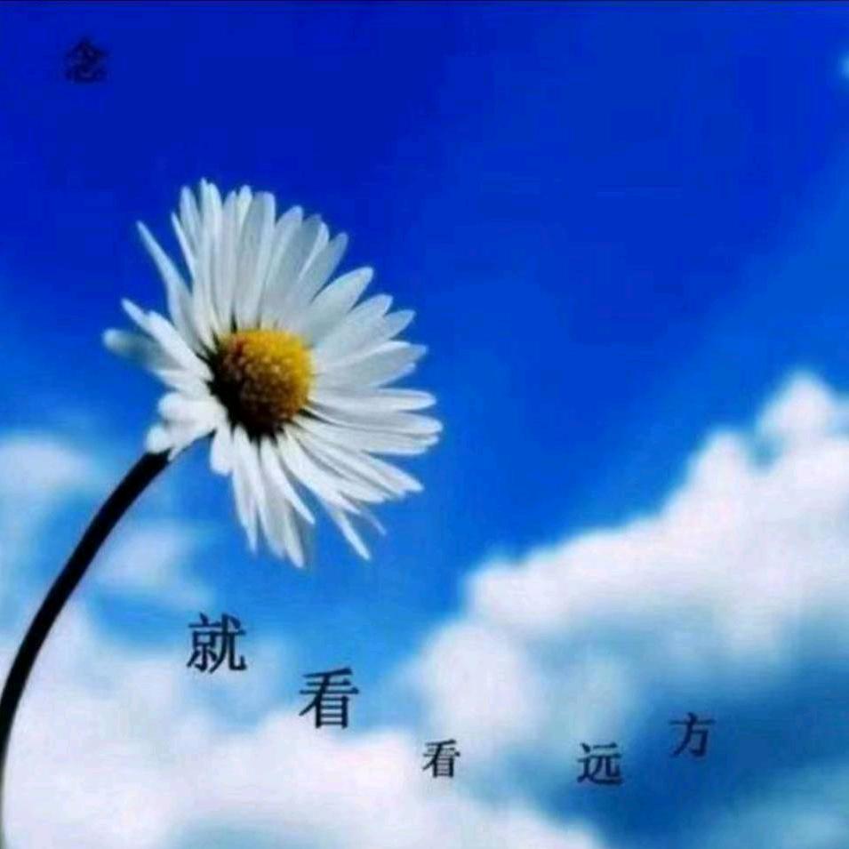 平姐