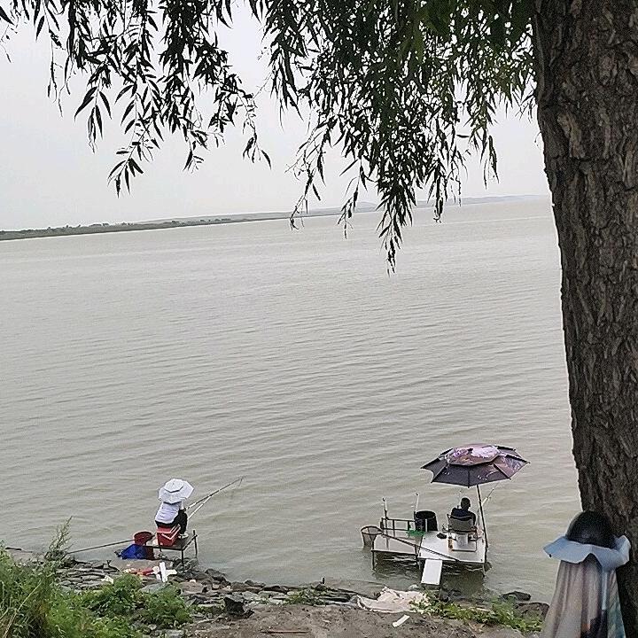 书彦钓场