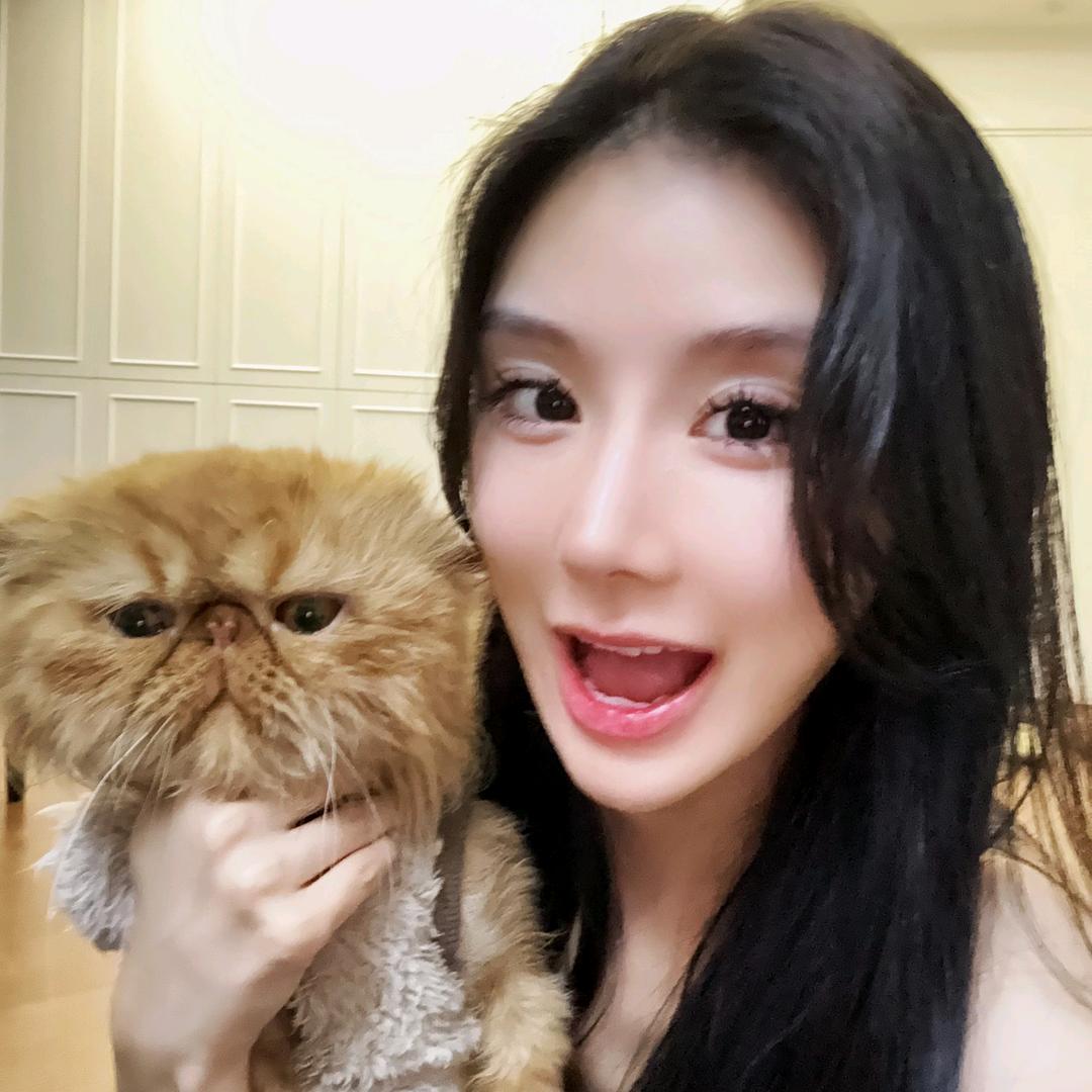 思语是猫霸霸