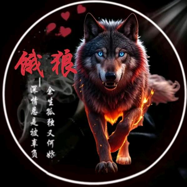 ꧁ꦾۖ🐺饿🌊࿆࿆ۖ狼࿆࿆🚀ꦾ꧂