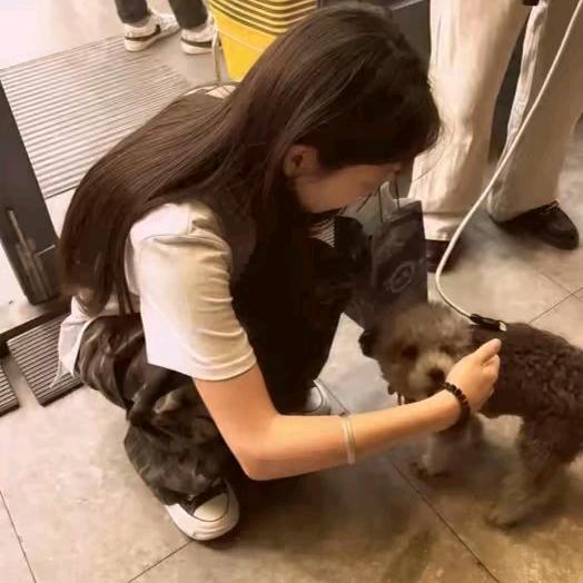 你还当我好骗