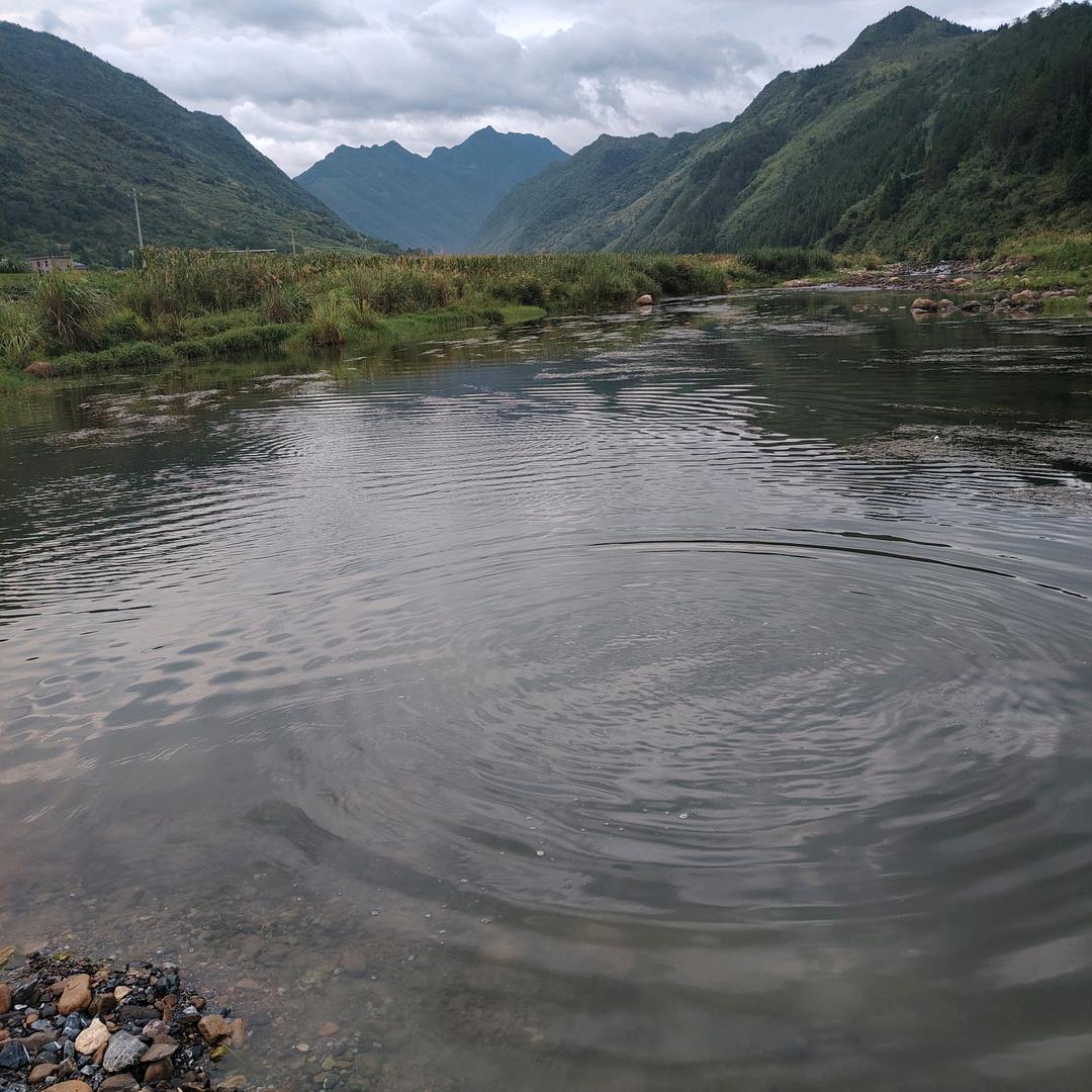 我是你的暖宝宝