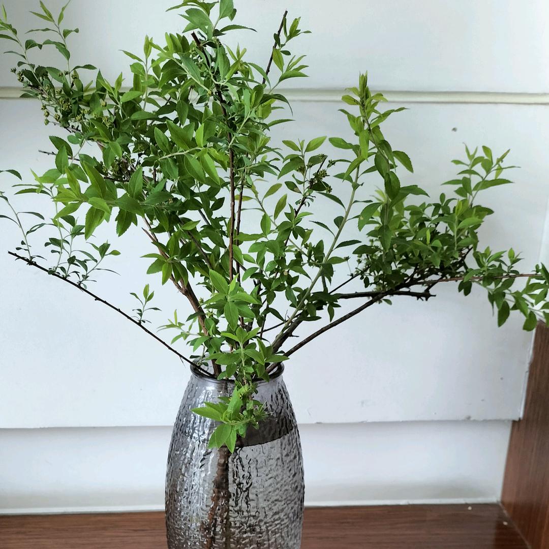 沐妍