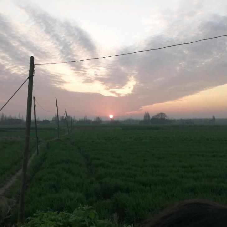 衡师院手机电脑维修