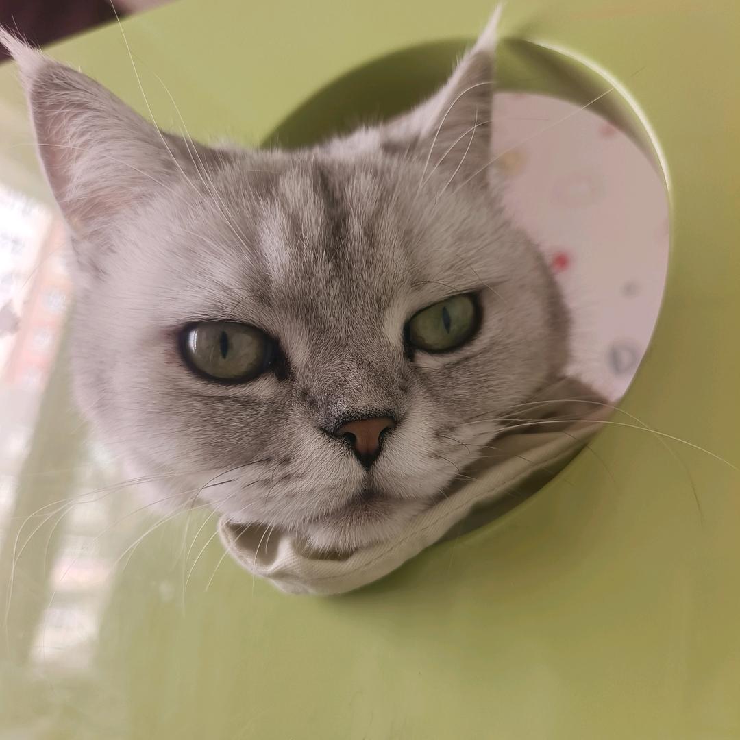 羽伊美容会馆
