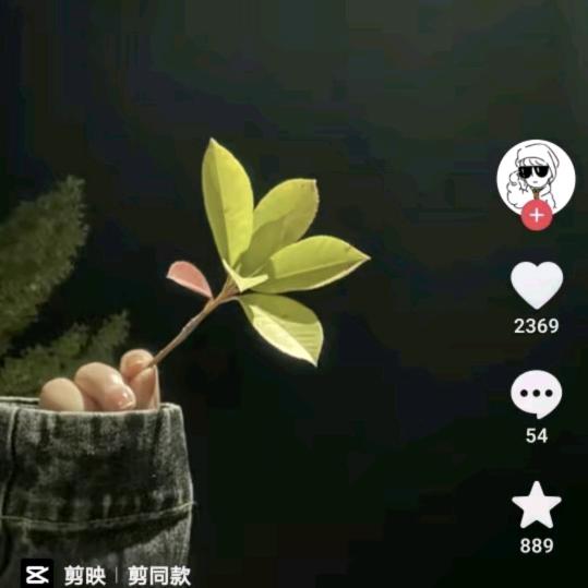 豆芽儿🍡🍡🍡
