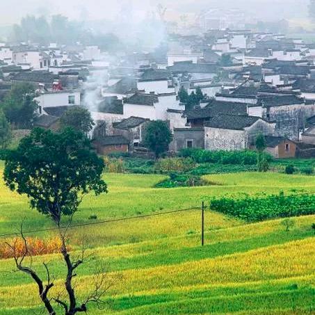 月白风清(づ ●─● )づ