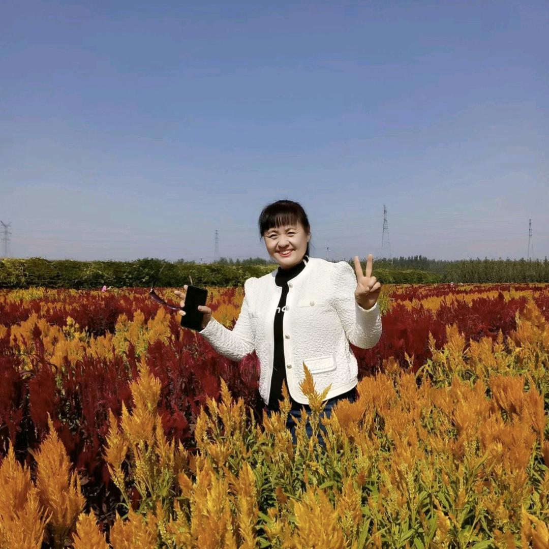 🌹完美人生🌹拒私聊
