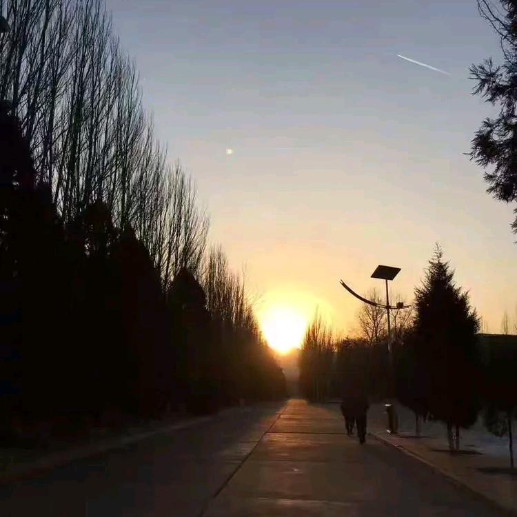 愿许秋风知我意