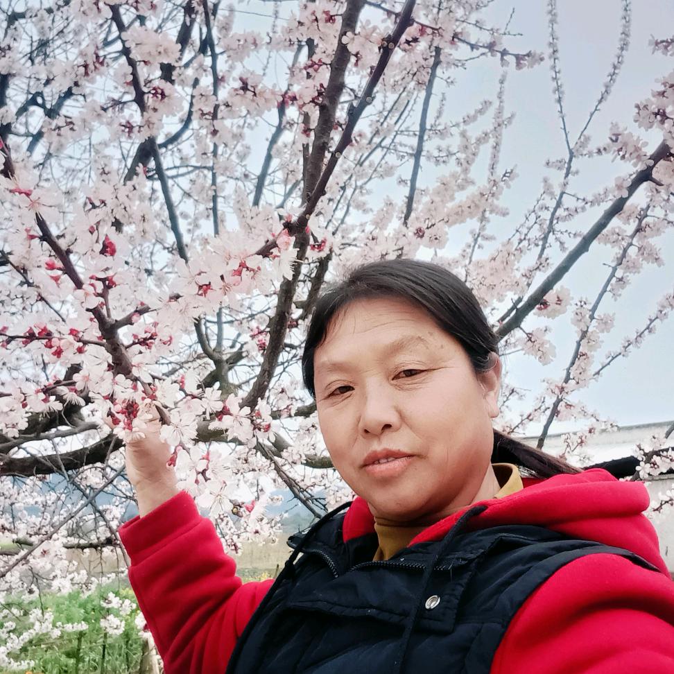 刘碧群: