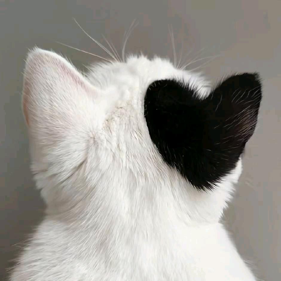 等风来