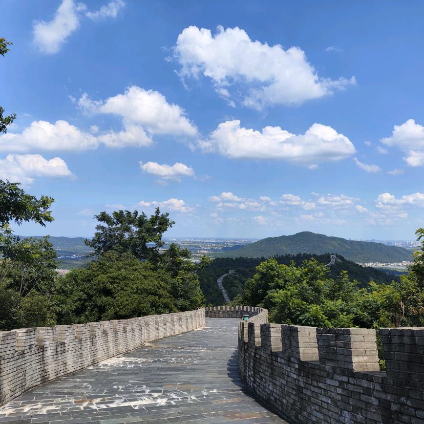 你指定能成公务员