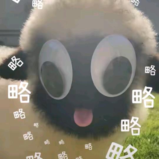 osjsiqkao