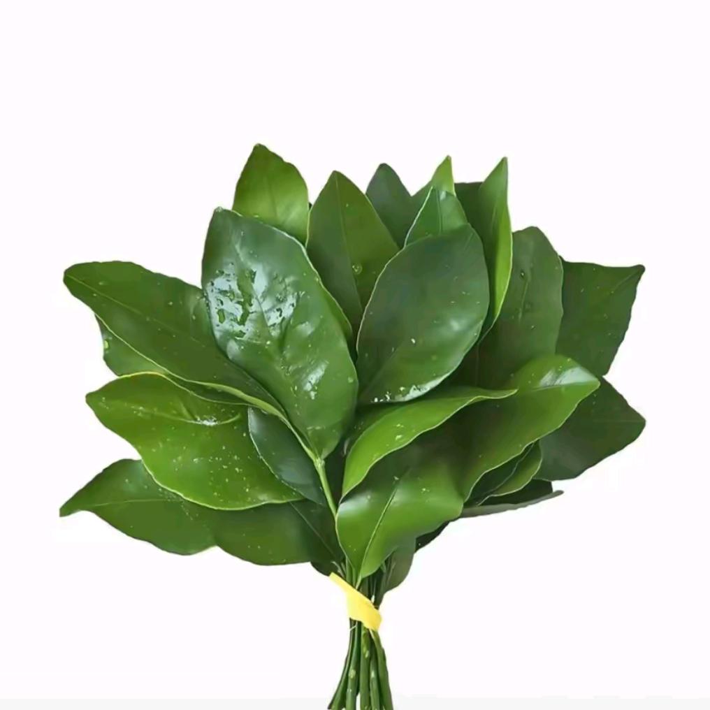 （Z）鲍米华仔爱小炸