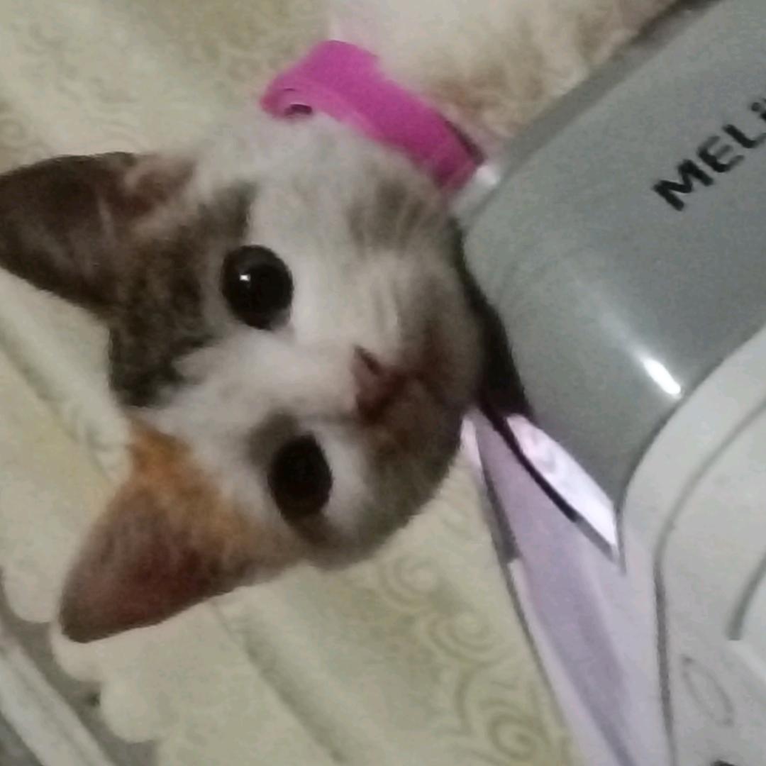 姜屿笙