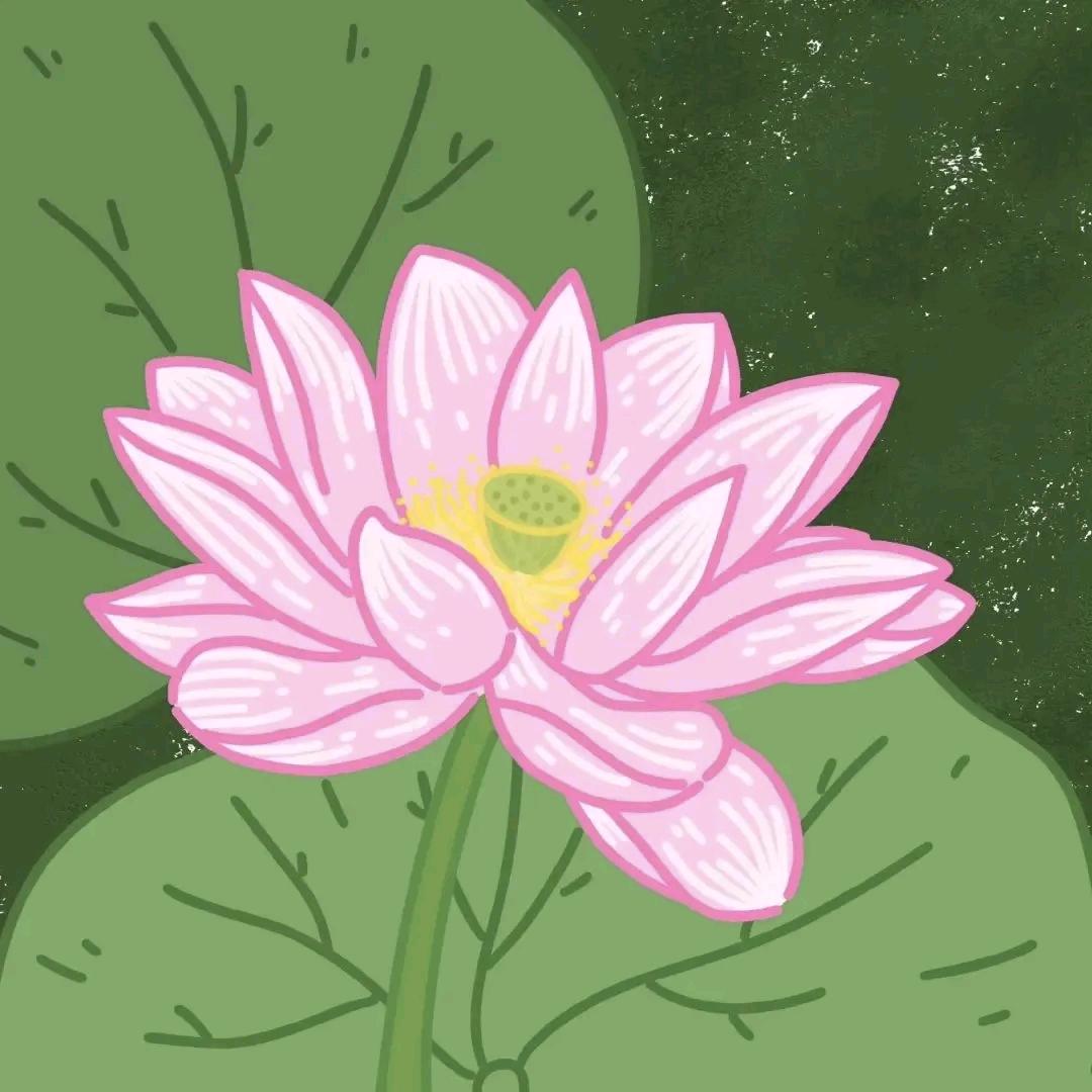 Alpha星科技