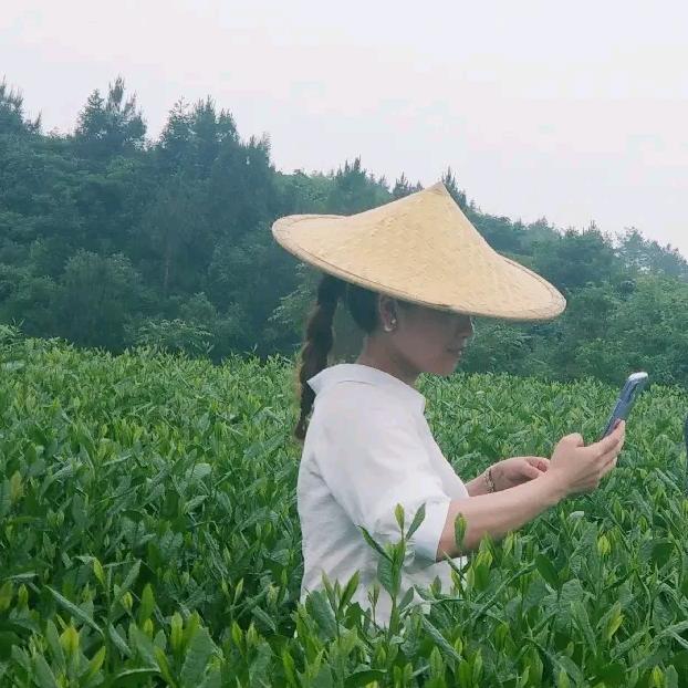 简简单单