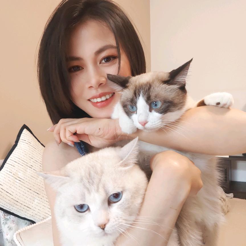阿白白