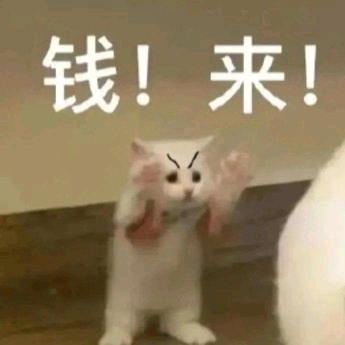 转圈圈
