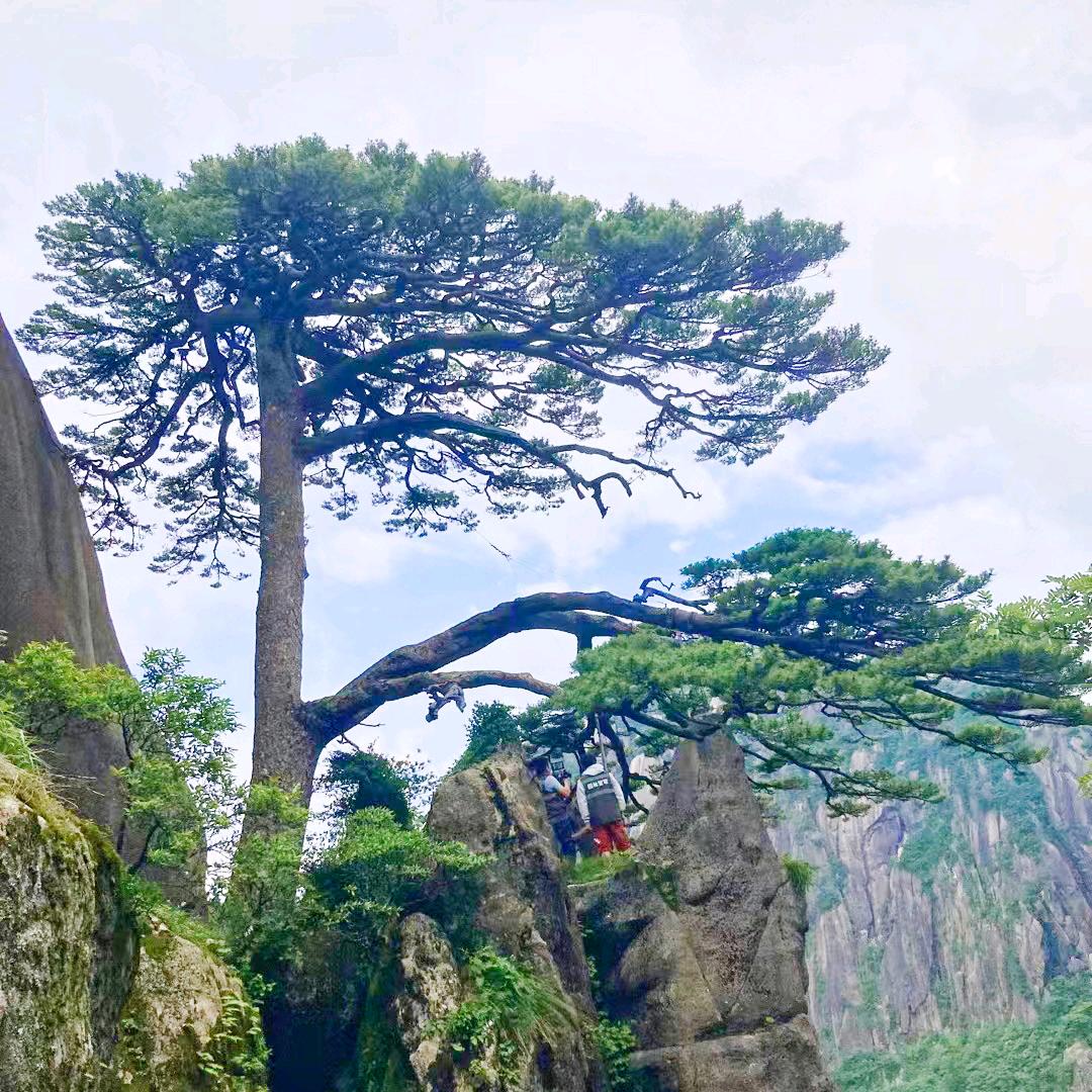 承上启下
