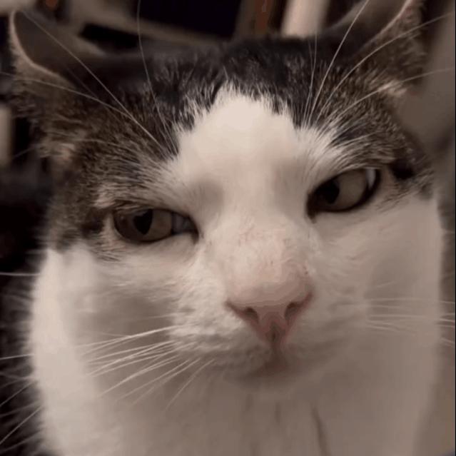 Do you come on?