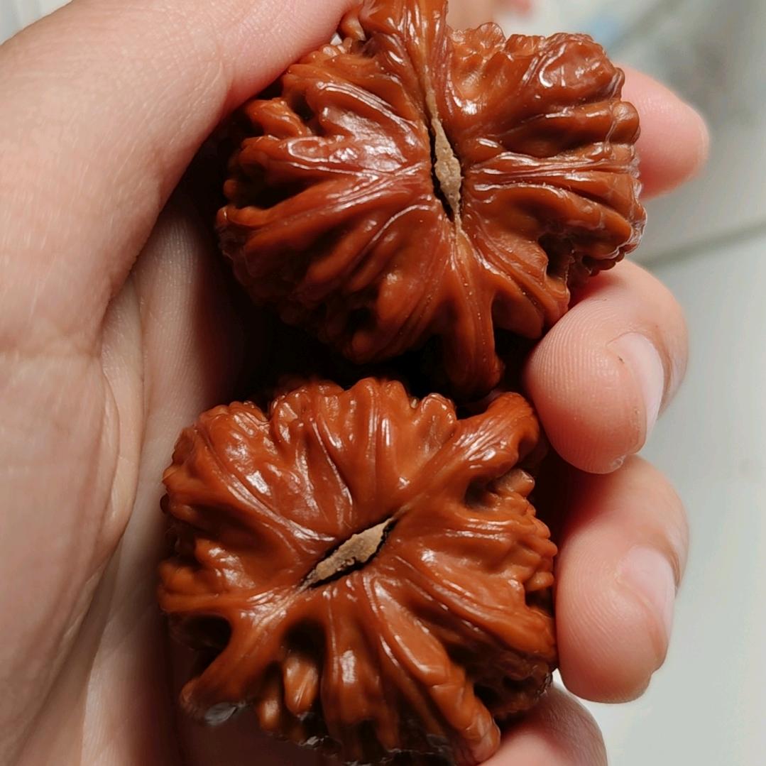 万法皆空