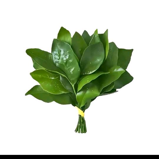 天分