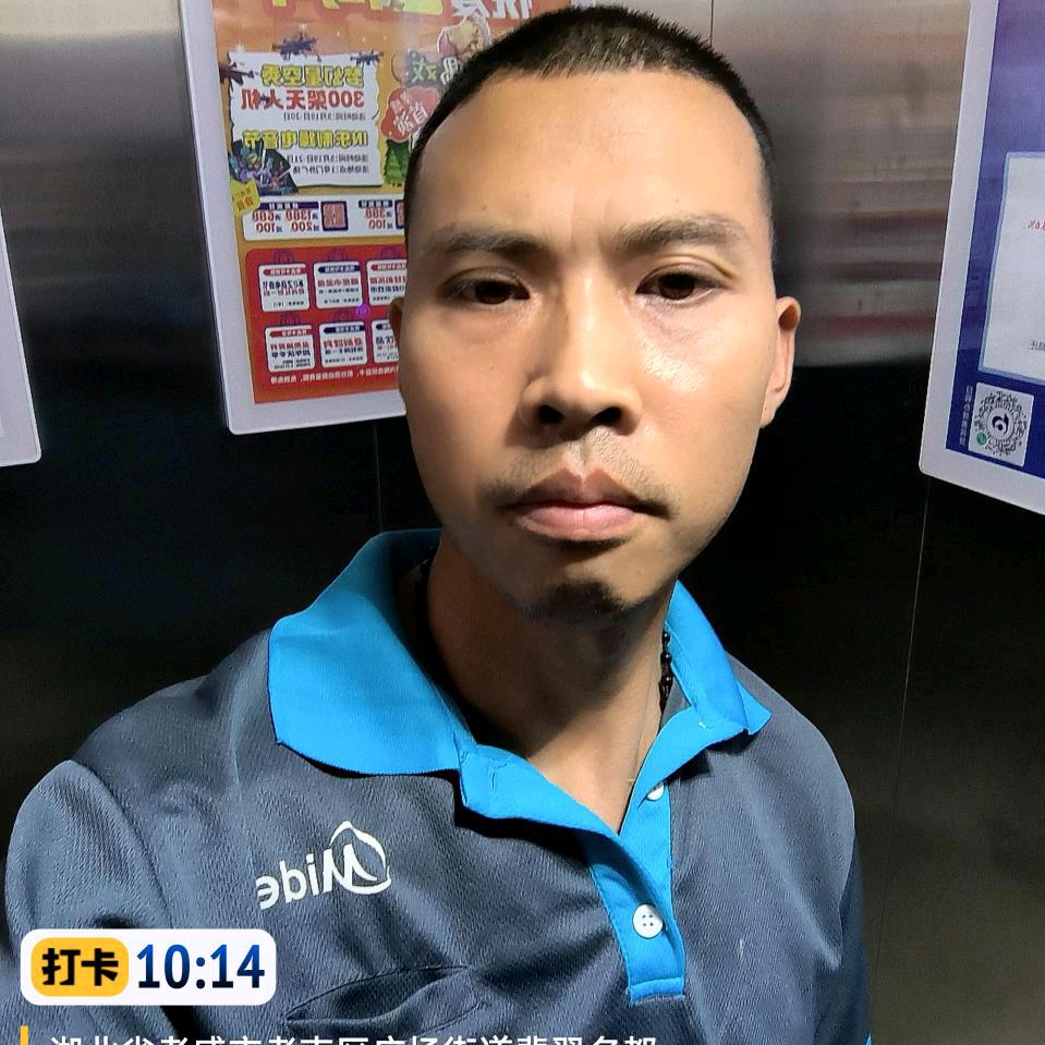 @杨店强哥
