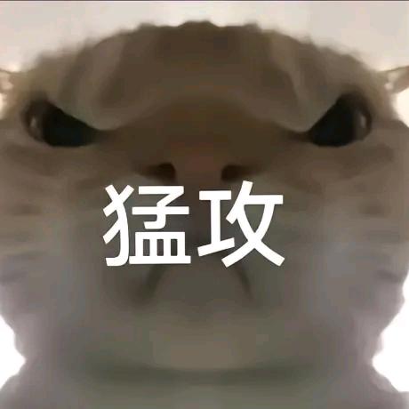 白了个白-