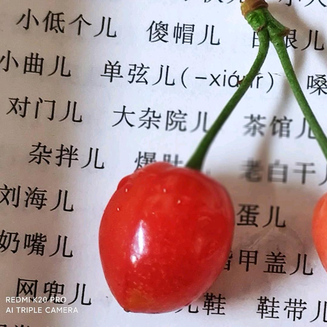 博韬教育专升本卯老师