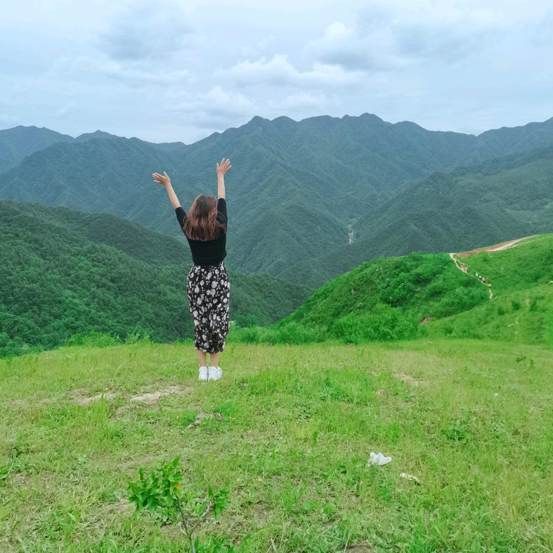沙沙