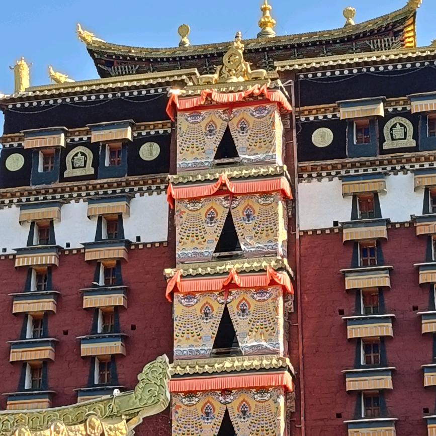 狂奔的小哥
