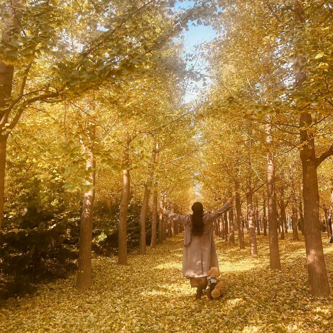 禅心❤️