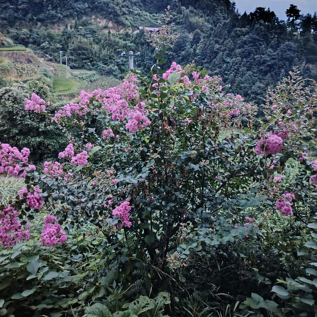 看淡一切