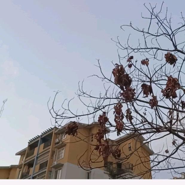 梓烟的夏天