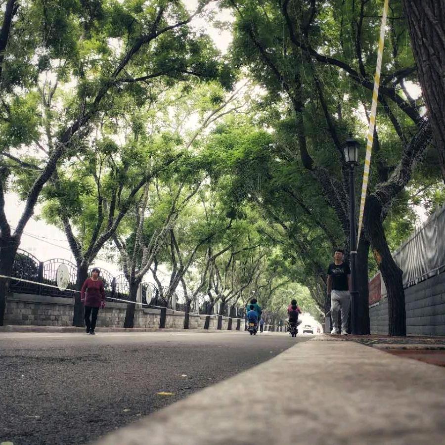 林深见🦌🦌🦌