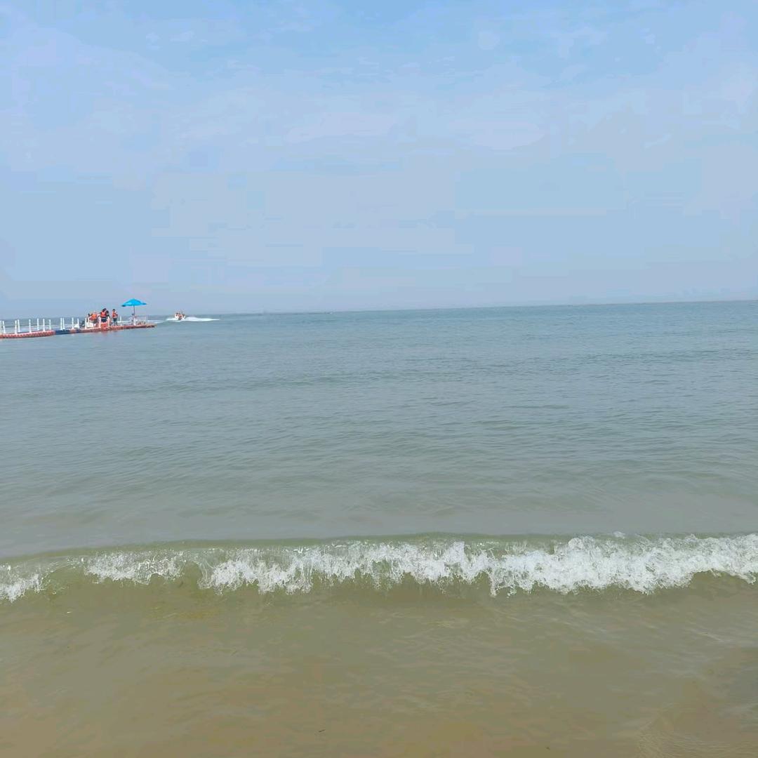 飘洋过海来看你