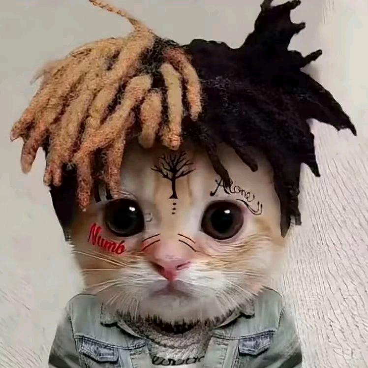 R.I.P.XXXTENTACION