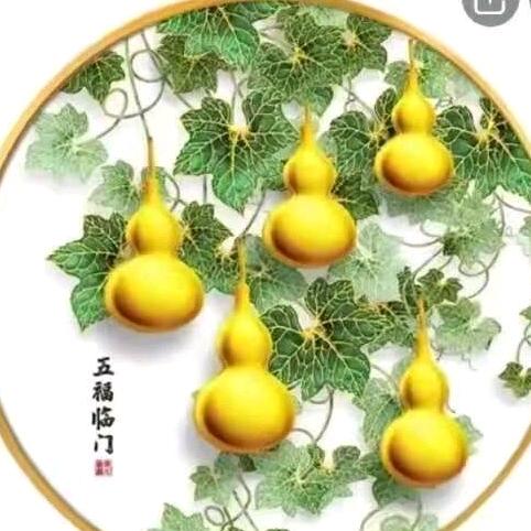 鸿雁