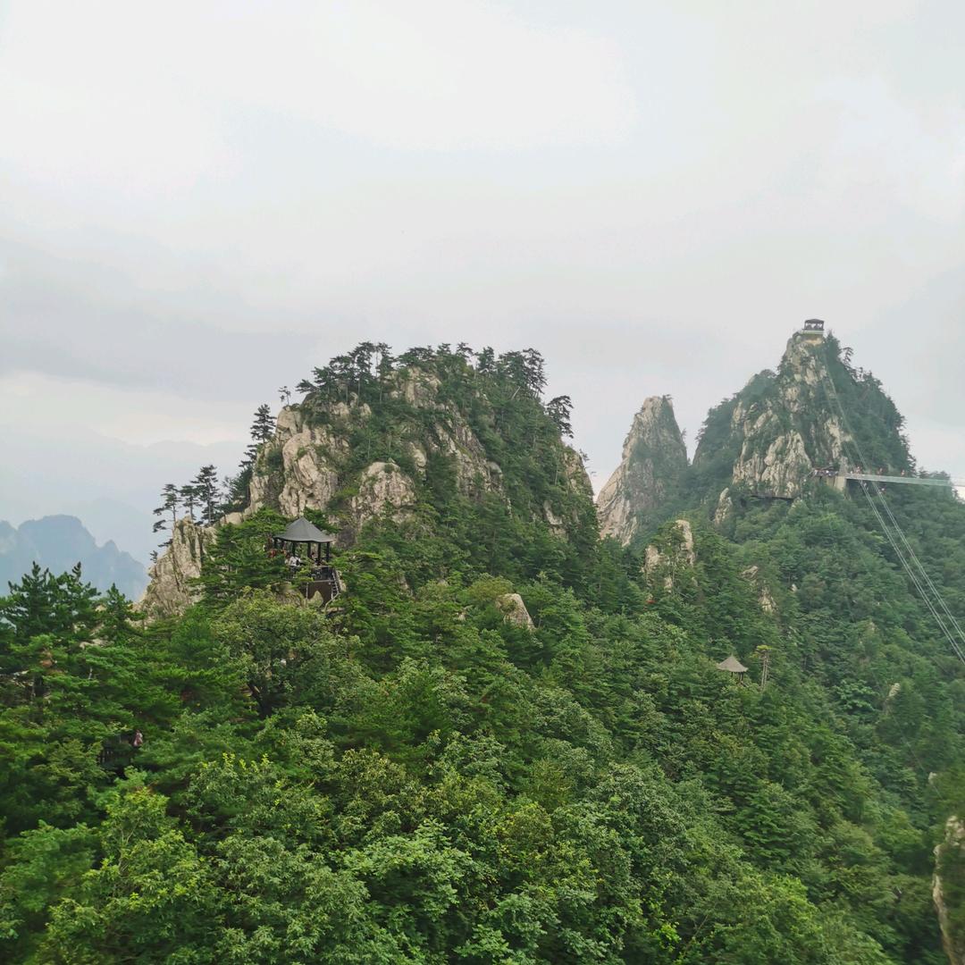 龙乡三哥